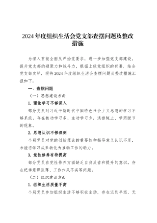 2024年度组织生活会党支部查摆问题及整改措施.docx