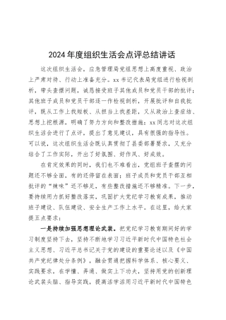 2024年度组织生活会点评总结讲话20250319.docx