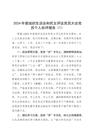 【2篇】2024年度组织生活会和民主评议党员大会党员个人自评报告总结汇报20250319.docx