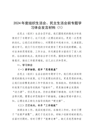 2篇2024年度组织生活会、民主生活会前专题学习体会发言材料心得体会20250312.docx