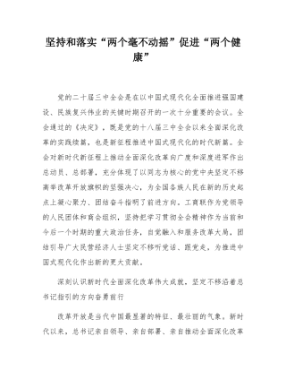 坚持和落实“两个毫不动摇”促进“两个健康”.docx
