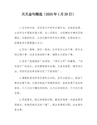 天天金句精选（2025年1月20日）.docx