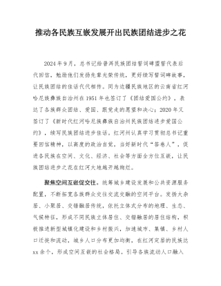 推动各民族互嵌发展开出民族团结进步之花.docx