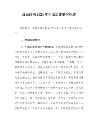 县民政局2024年全面工作情况报告.docx
