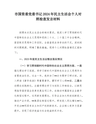市国资委党委书记2024年民主SH会个人对照检查发言材料.docx