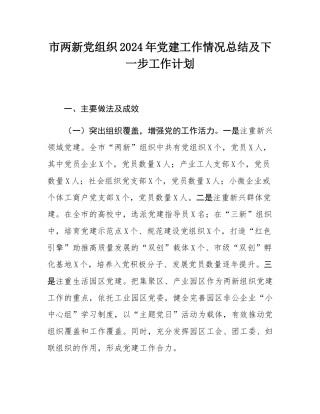 市两新党组织2024年党建工作情况总结及下一步工作计划.docx