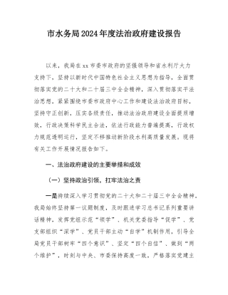 市水务局2024年度法治政府建设报告.docx