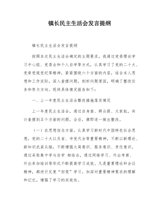 镇长民主生活会发言提纲.docx