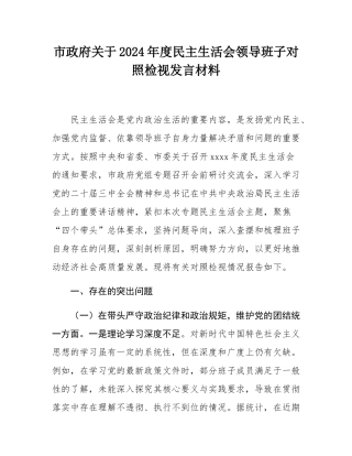 市政府关于2024年度民主SH会领导班子对照检视发言材料.docx