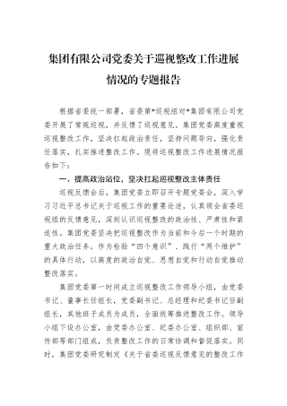 集团有限公司党委关于巡视整改工作进展情况的专题报告.docx