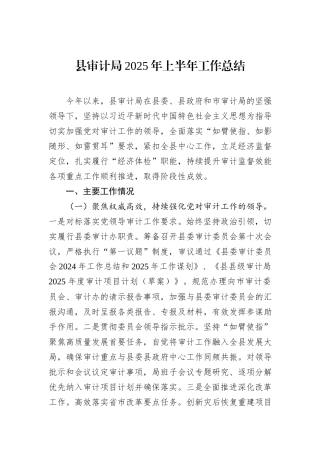 县审计局2025年上半年工作总结.docx