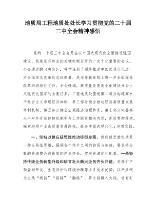 地质局工程地质处处长学习贯彻党的二十届三中全会精神感悟.docx