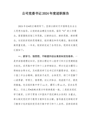 公司党委书记2024年度述职报告.docx