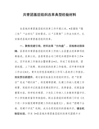 共青团基层组织改革典型经验材料.docx