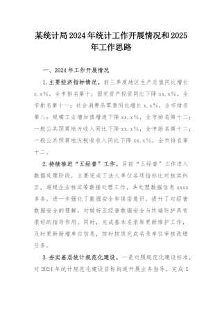 某统计局2024年统计工作开展情况和2025年工作思路.docx