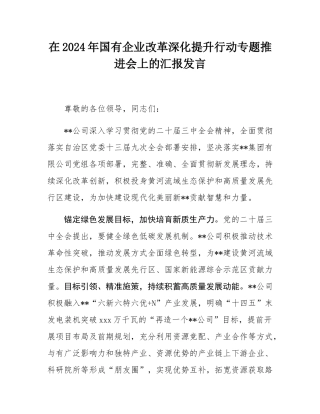 在2024年国有企业改革深化提升行动专题推进会上的汇报发言.docx