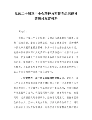 党的二十届三中全会精神与两新党组织建设的研讨发言材料.docx