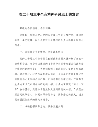 在二十届三中全会精神研讨班上的发言.docx