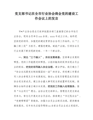 党支部书记在全市行业协会商会党的建设工作会议上的发言.docx