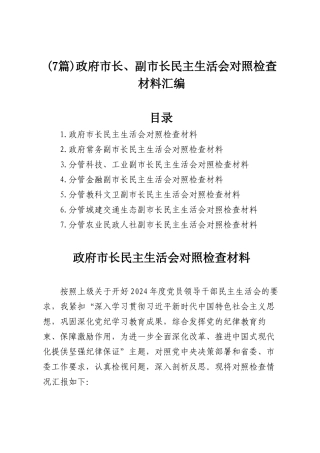 (7篇)政府市长、副市长民主SH会对照检查材料汇编.docx