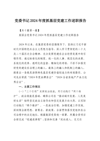 （10篇）党委书记2024年度抓基层党建工作述职报告.docx