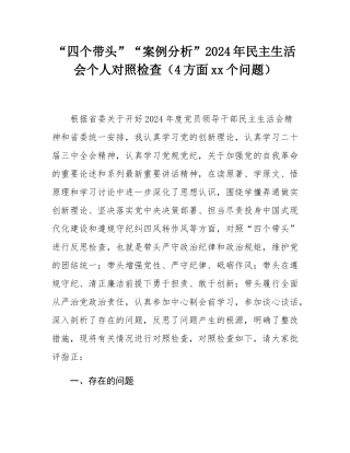 “四个带头”“案例分析”2024年民主SH会个人对照检查（4方面16个问题）.docx