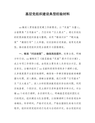 基层党组织建设典型经验材料.docx