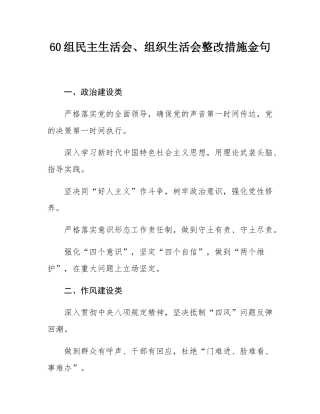 60组民主SH会、组织SH会整改措施金句.docx