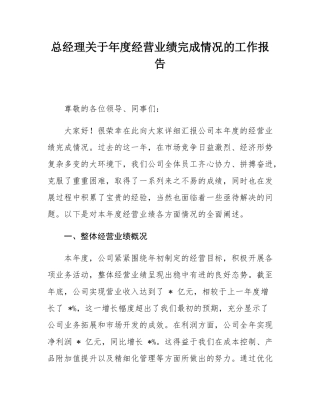 总经理关于年度经营业绩完成情况的工作报告.docx