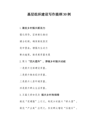 基层组织建设写作提纲30例.docx