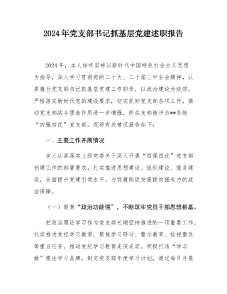2024年党支部书记抓基层党建述职报告.docx
