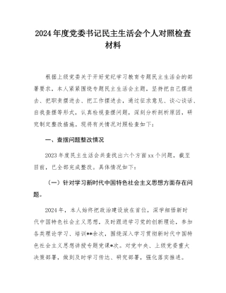 2024年度党委书记民主SH会个人对照检查材料.docx