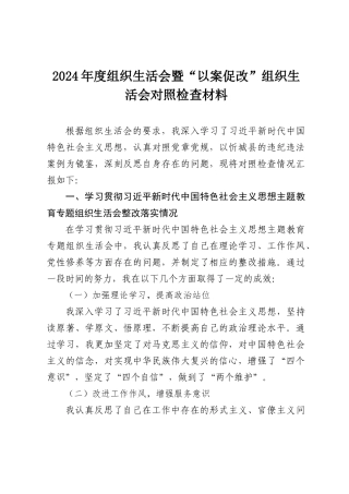 2024年度党员个人组织SH会暨“以案促改”组织SH会对照检查材料.docx