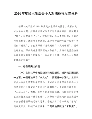 2024年度民主SH会个人对照检视发言材料.docx