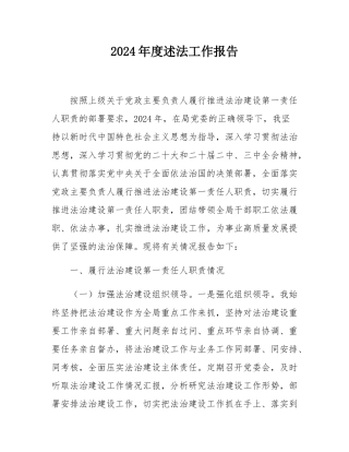 2024年度述法工作报告.docx