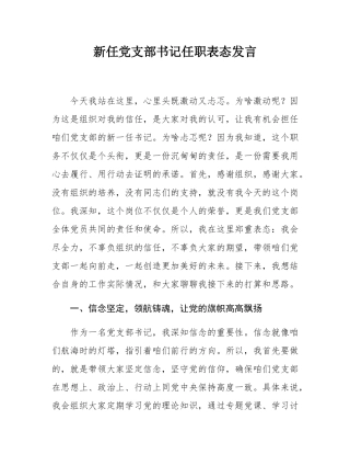 新任党支部书记任职表态发言.docx