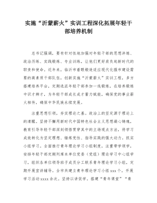 实施“沂蒙薪火”实训工程深化拓展年轻干部培养机制.docx