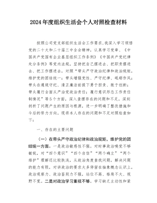 2024年度组织SH会个人对照检查材料.docx
