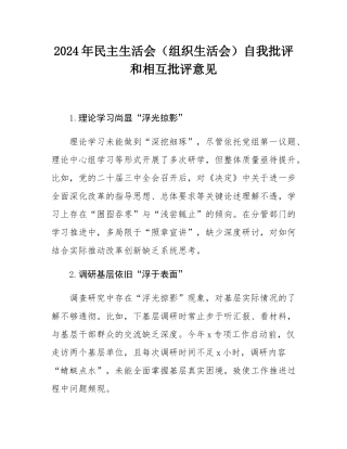 2024年民主SH会（组织SH会）自我批评和相互批评意见.docx