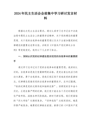 2024年民主SH会会前集中学习研讨发言材料.docx