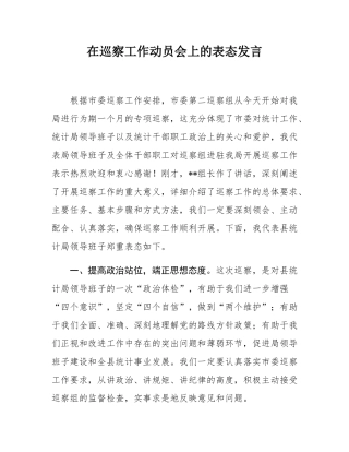 在巡察工作动员会上的表态发言.docx