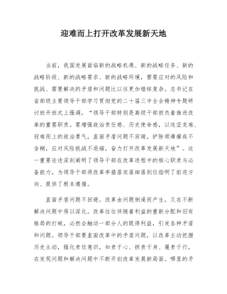 迎难而上打开改革发展新天地.docx