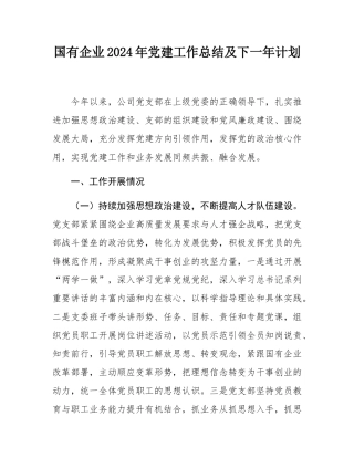 国有企业2024年党建工作总结及下一年计划.docx