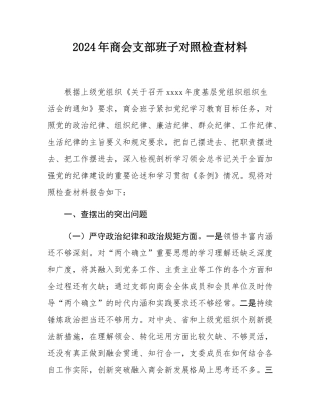 2024年商会支部班子对照检查材料.docx