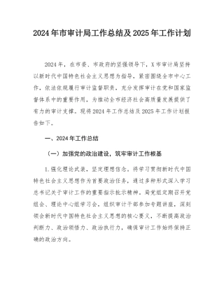 2024年市审计局工作总结及2025年工作计划.docx