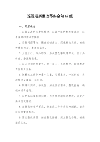 巡视巡察整改落实金句47组.docx