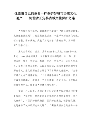 像爱惜自己的生命一样保护好城市历史文化遗产——河北省正定县古城文化保护之路.docx