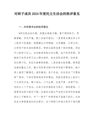 对班子成员2024年度民主SH会的批评意见.docx