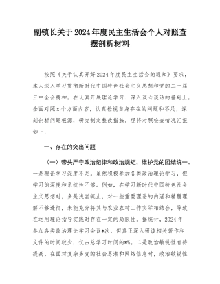 副镇长关于2024年度民主SH会个人对照查摆剖析材料.docx