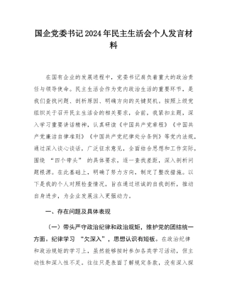 国企党委书记2024年民主SH会个人发言材料.docx